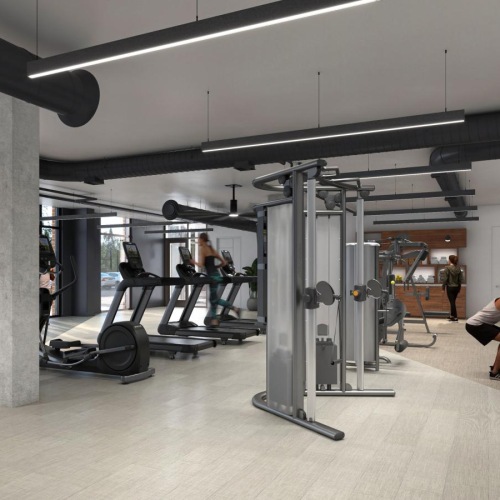 a gym with people and exercise equipment